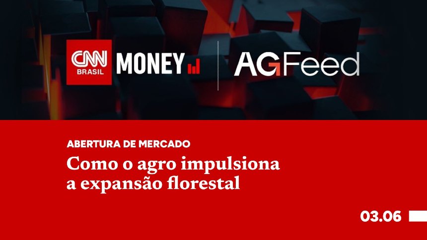 Como o agro impulsiona a expansão florestal