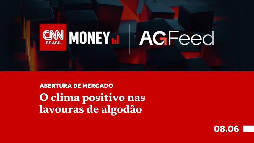 O clima positivo nas lavouras de algodão