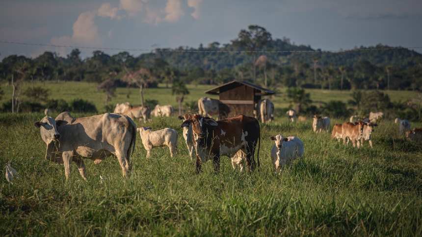 Cenário pouco provável, mas possível