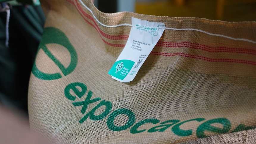 A Expocacer driblou o tarifaço e ampliou as exportações de café. Agora, enfrenta um novo teste: o clima