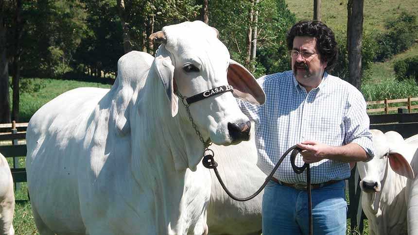 O homem das vacas milionárias agora monta uma “linha de produção” de touros de alta qualidade