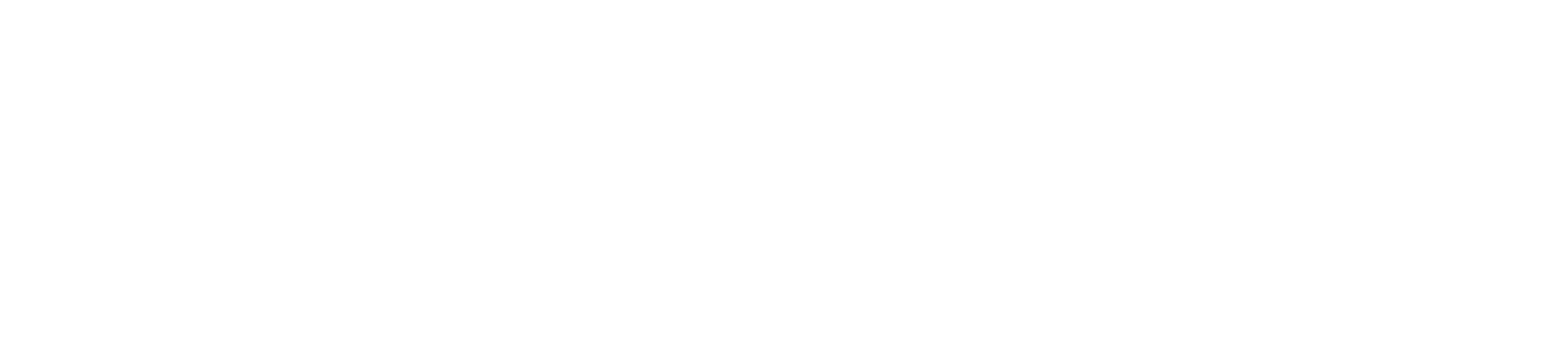 AGRI CONNECTION
