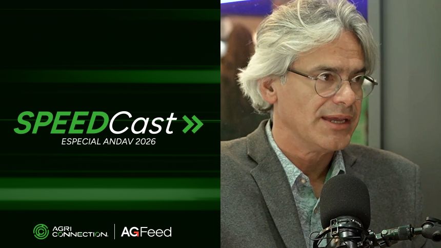 “Ainda vai ter crescimento nos pedidos de recuperação judicial, mas a aceleração diminui”