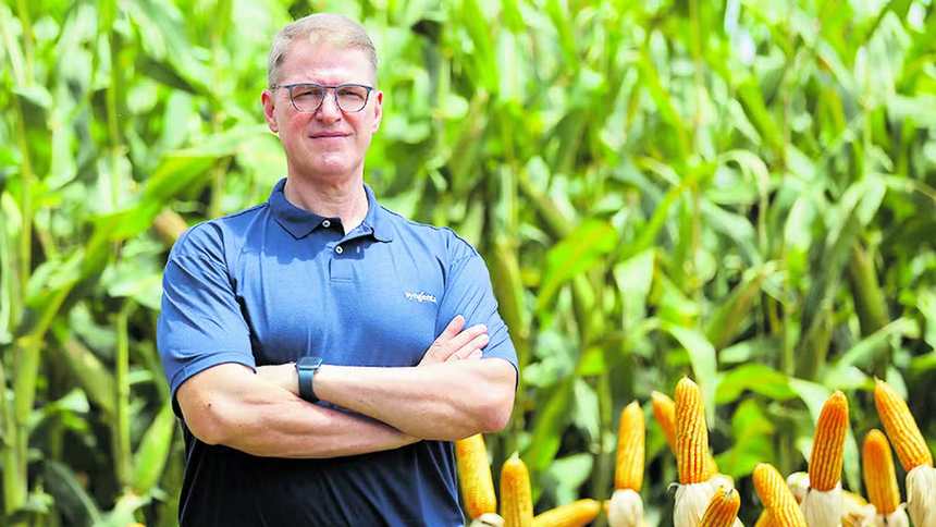 Mesmo com safra difícil (e lenta), Syngenta Seeds vê espaço para ganhar mercado