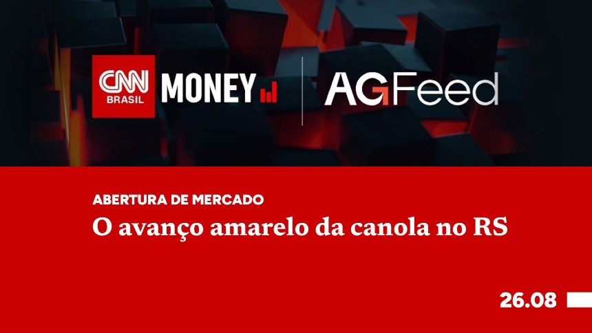 O avanço amarelo da canola no RS