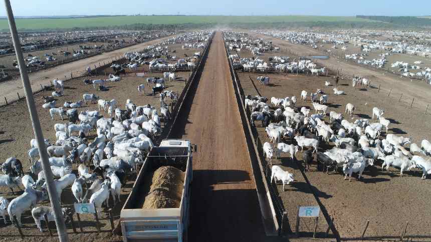 MFG Agropecuária, de Marcos Molina, reorganiza operação e foca em expansão de confinamentos próprios