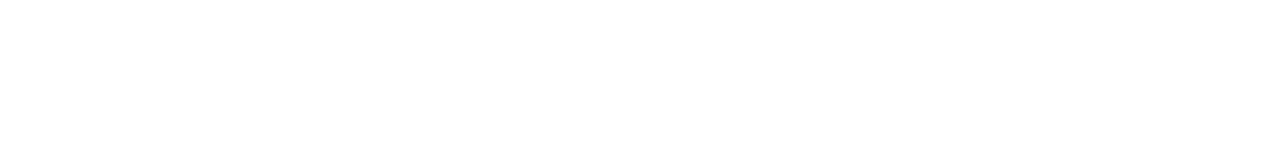 Brand Novonesis