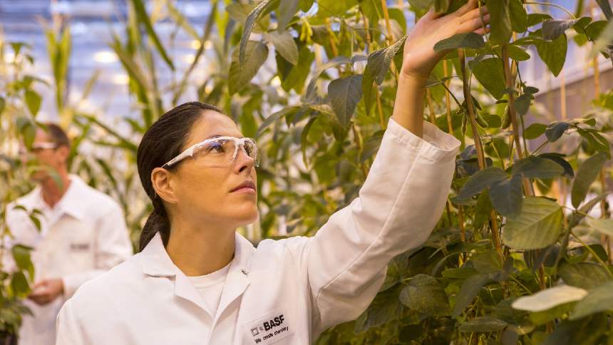 Basf contrata bancos e avança uma casa em direção ao IPO de sua divisão agrícola