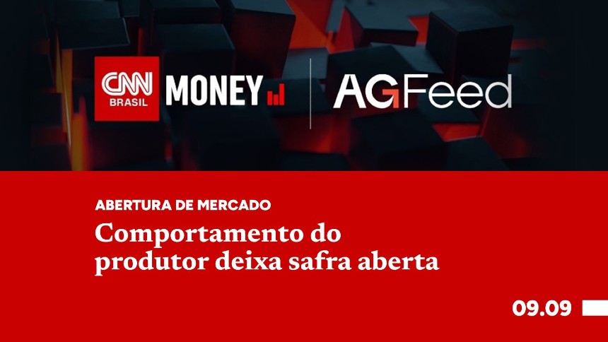 Comportamento do produtor deixa safra aberta