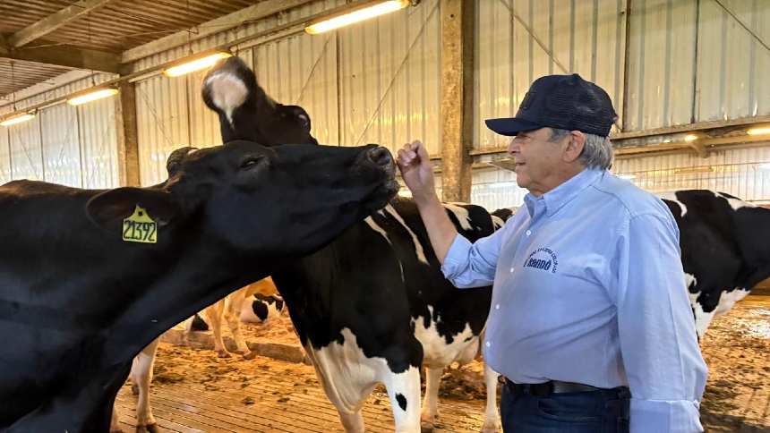 Sem "espaço para crescer", Fazenda Colorado planeja nova propriedade e diversifica negócios