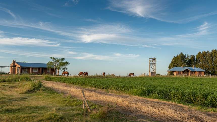 Suíça do Agro? Fundo brasileiro inicia captação de R$ 100 milhões para comprar terra no Uruguai