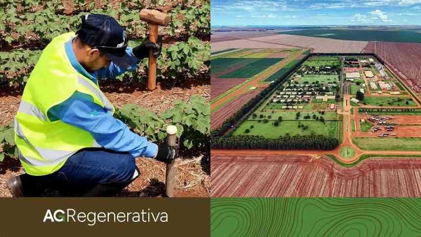 Do carbono à produtividade: como SLC Agrícola e Amaggi estão dando escala à agricultura regenerativa