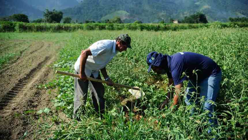 Maioria dos agricultores familiares no Brasil não tem acesso a crédito rural e assistência técnica, diz WRI