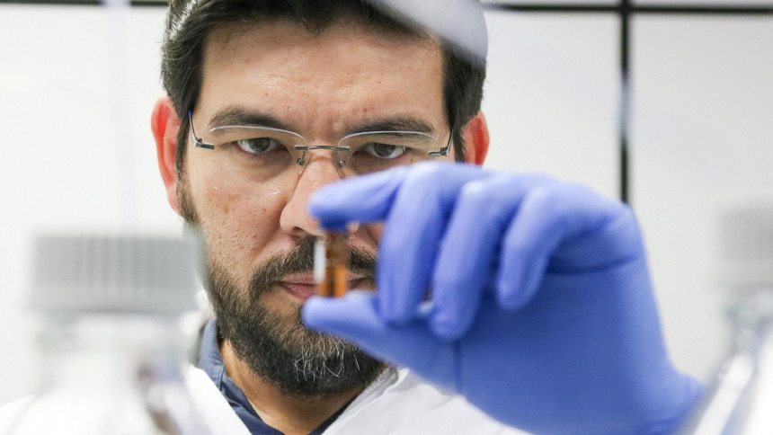 "Tesoura molecular" do CRISPR já gerou 109 produtos com edição gênica para o agro brasileiro