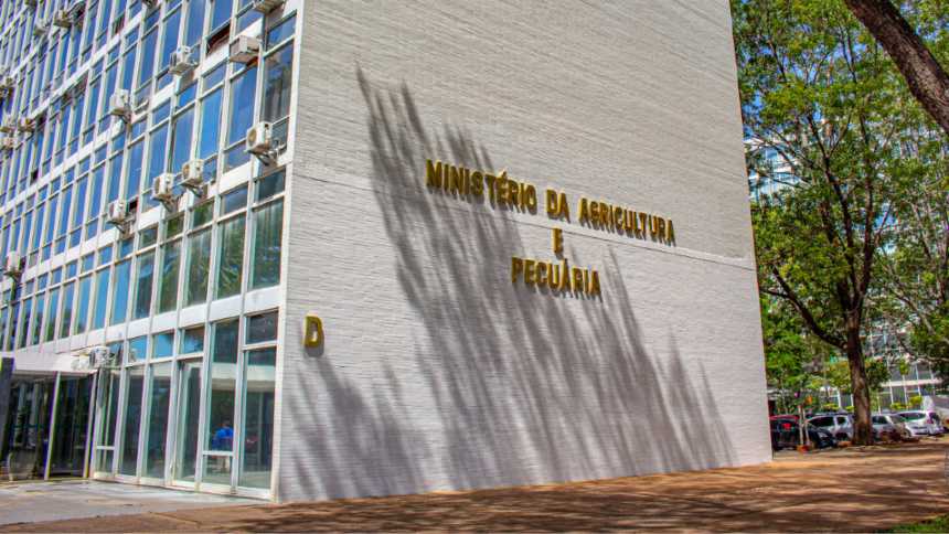 Páreo para liderar o Ministério da Agricultura tem perfil claro para favoritos e azarões