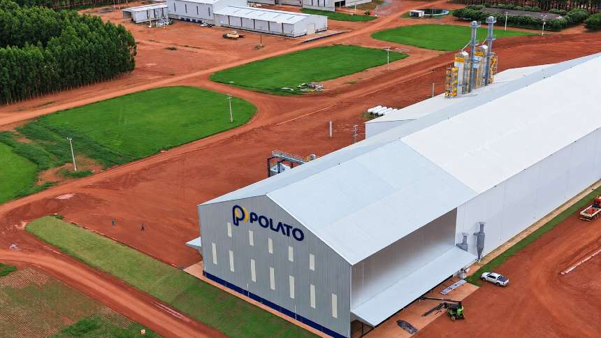 Polato nada contra a “maré baixa” das sementeiras, investe R$ 100 milhões e projeta crescer 15%